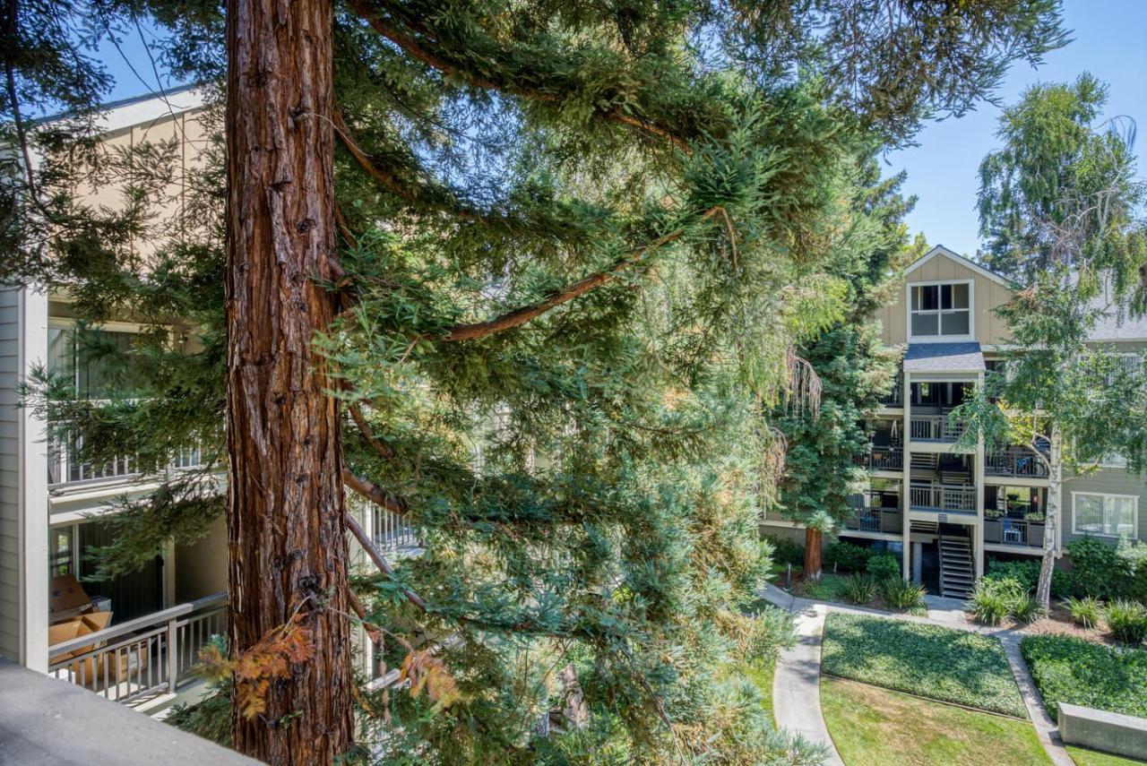 2br W Wd Gym Pool Apple Shuttle Sfo-599 *